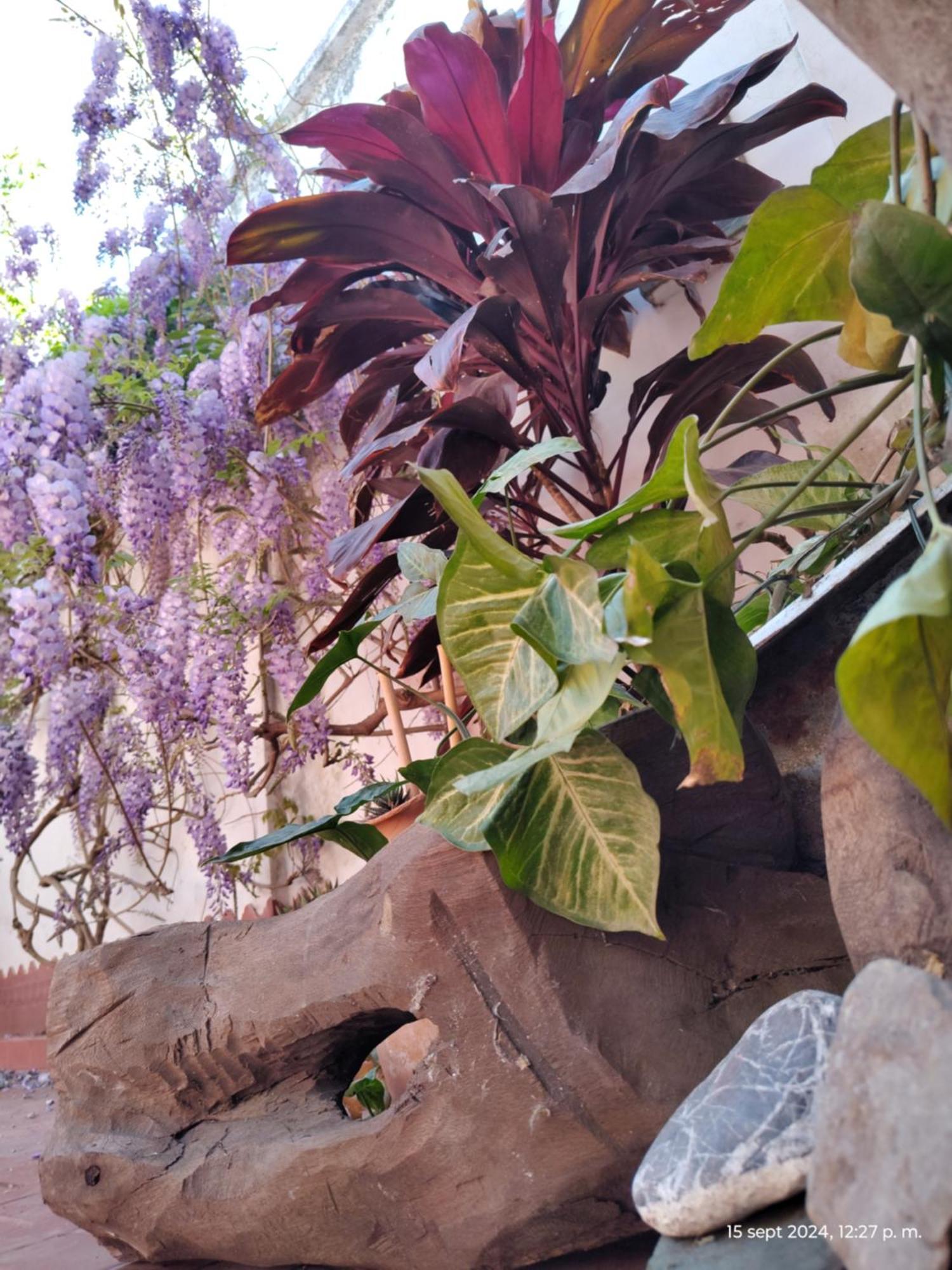 Casa Kuyay Villa San Salvador de Jujuy Eksteriør bilde