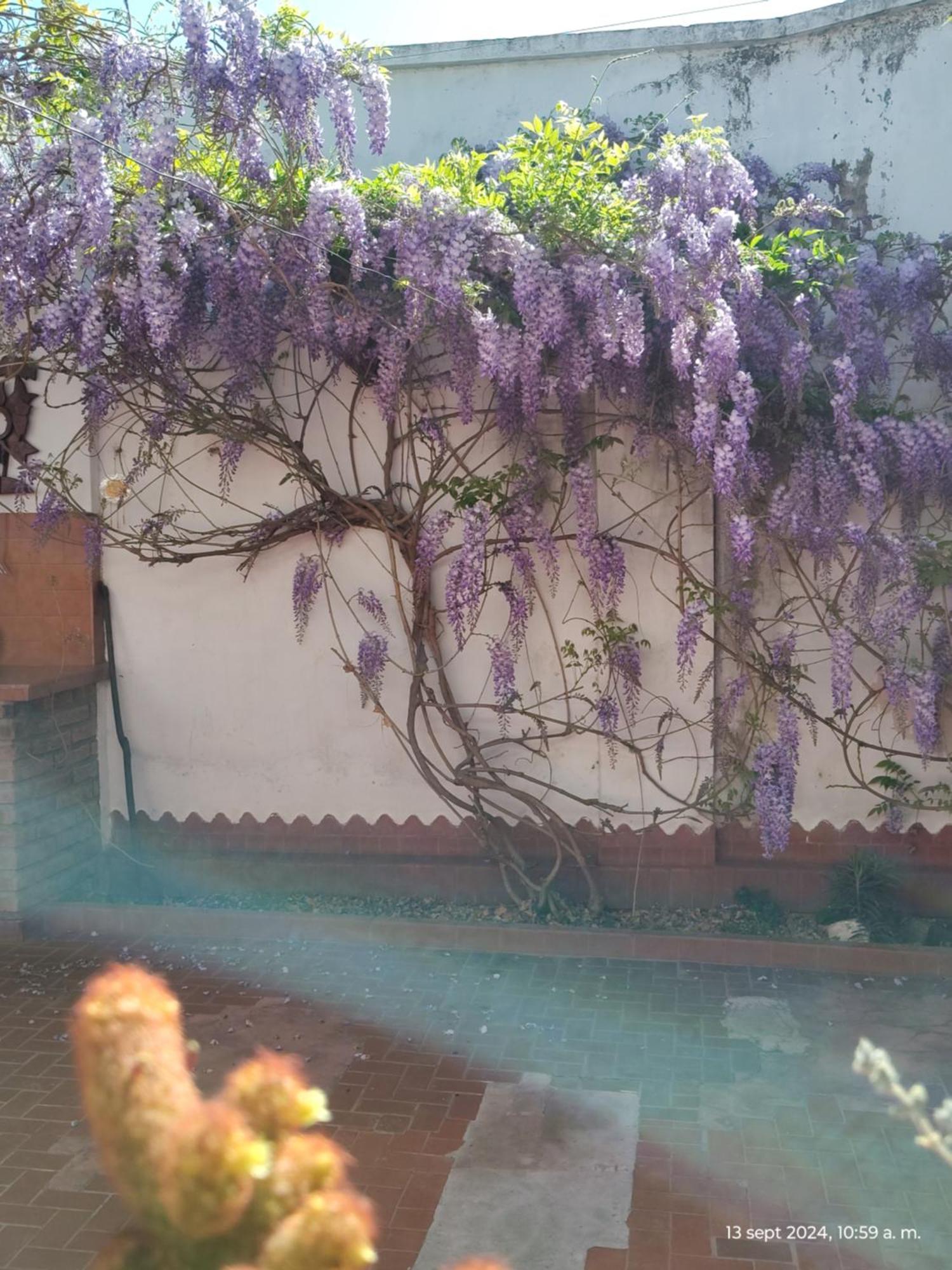 Casa Kuyay Villa San Salvador de Jujuy Eksteriør bilde